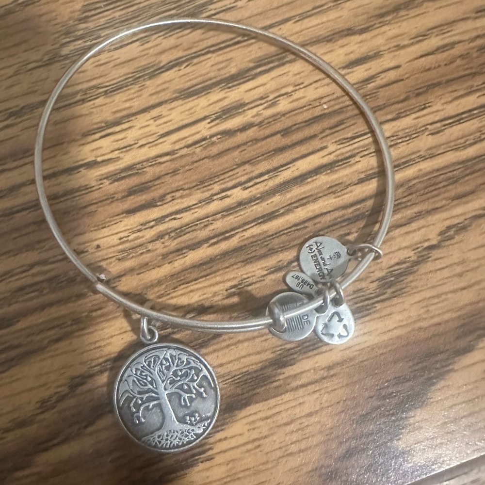 2012 Alex and ani tree of life bracelet